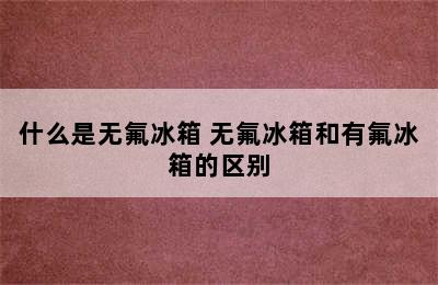 什么是无氟冰箱 无氟冰箱和有氟冰箱的区别